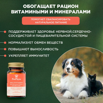 ProPhyto Мультивитамин, 70 таблеток4