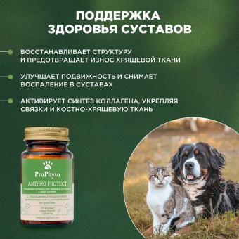ProPhyto Артро Защита, 30 таблеток4