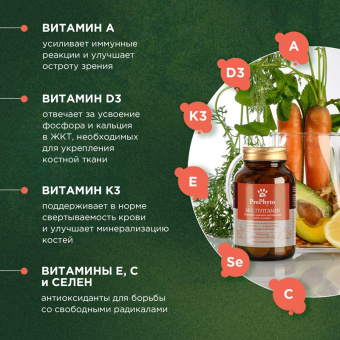 ProPhyto Мультивитамин, 70 таблеток5