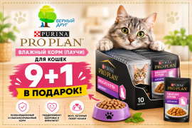 Pro Plan паучи — 9 + 1 в подарок