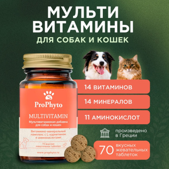 ProPhyto Мультивитамин, 70 таблеток3