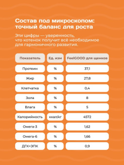 FeelGOOD Заменитель молока (молочная смесь) для котят саше5