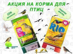Акции на корма для птиц