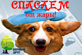 Что поможет нам в жару?