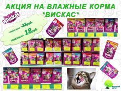 Акция на влажные корма "ВИСКАС"