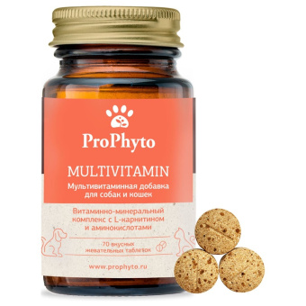 ProPhyto Мультивитамин, 70 таблеток2