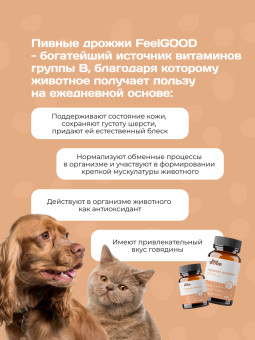 УТ-074748_