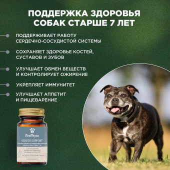 ProPhyto Сеньор Саппорт, 100 таблеток4