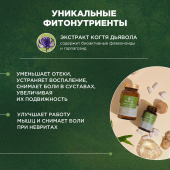 ProPhyto Артро Защита, 30 таблеток7