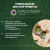 ProPhyto Артро Защита, 30 таблеток7 ProPhyto Артро Защита, 30 таблеток7