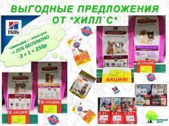 Выгодные предложения от Хилл'с