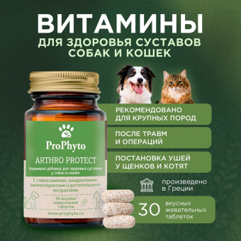 ProPhyto Артро Защита, 30 таблеток3