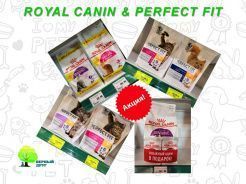 Акции от ROYAL CANIN & PERFEKT FIT