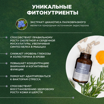 ProPhyto Сеньор Саппорт, 100 таблеток7