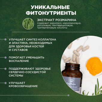 ProPhyto Сеньор Саппорт, 100 таблеток5